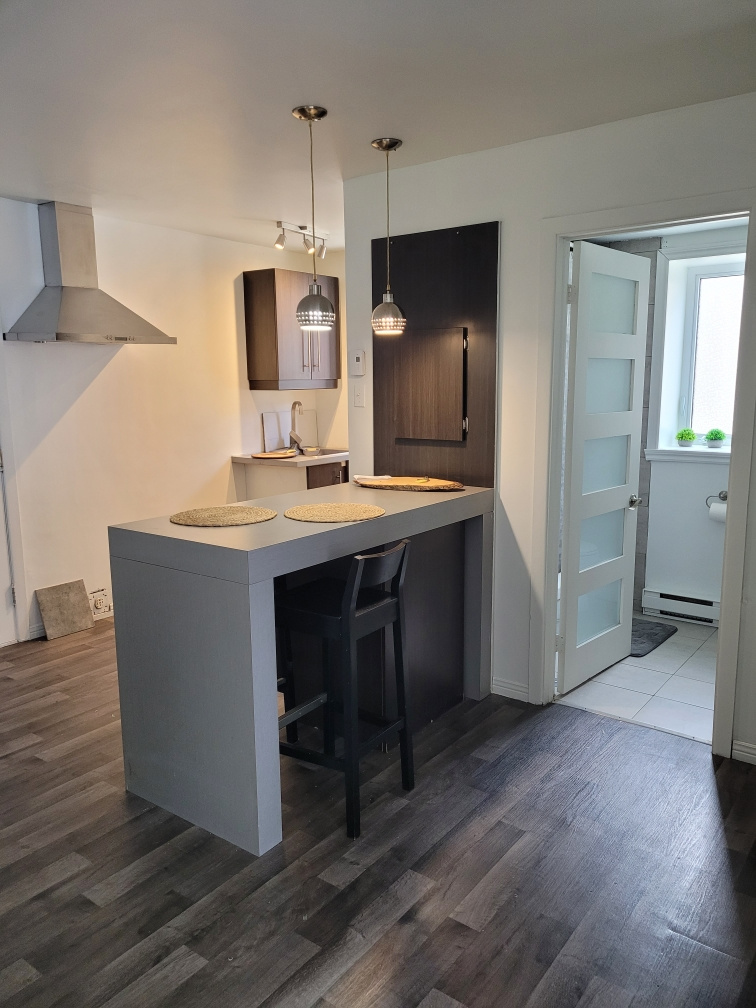 Rénové, Chic Et Urbain – À 500 M RIVIERE | 3216225