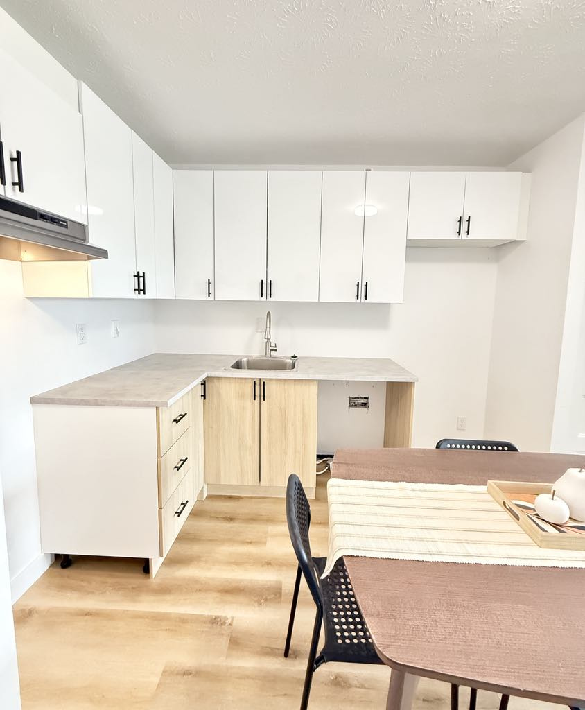 3 1/2 Refait à Neuf ! 1er Janvier 2026 | 3216234