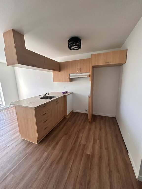 Spacieuses Unités De Studio Et 3 1/2 | 3216264