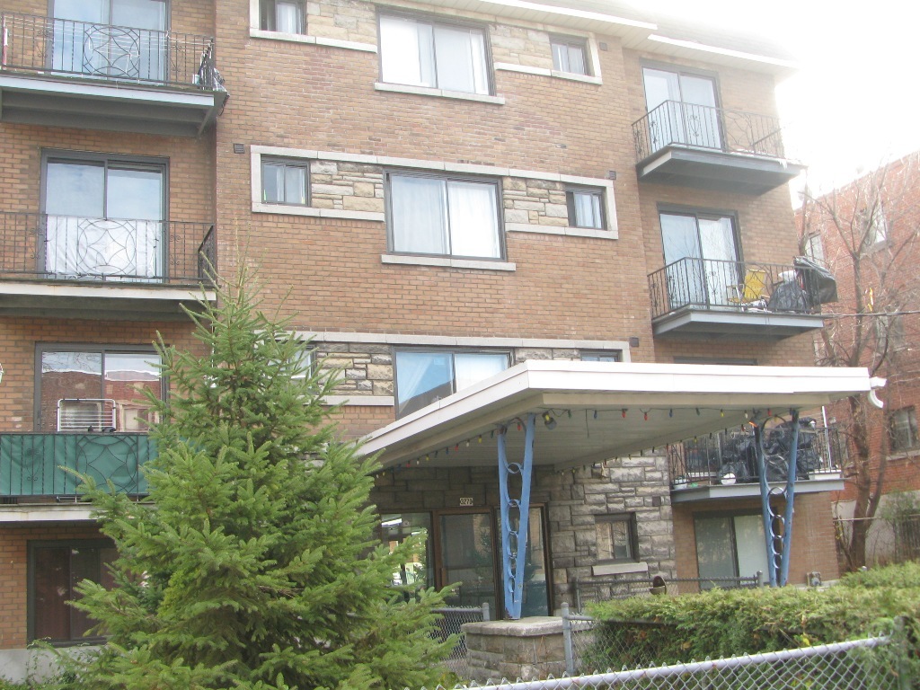 Amazing Studio In CDN | 3216267