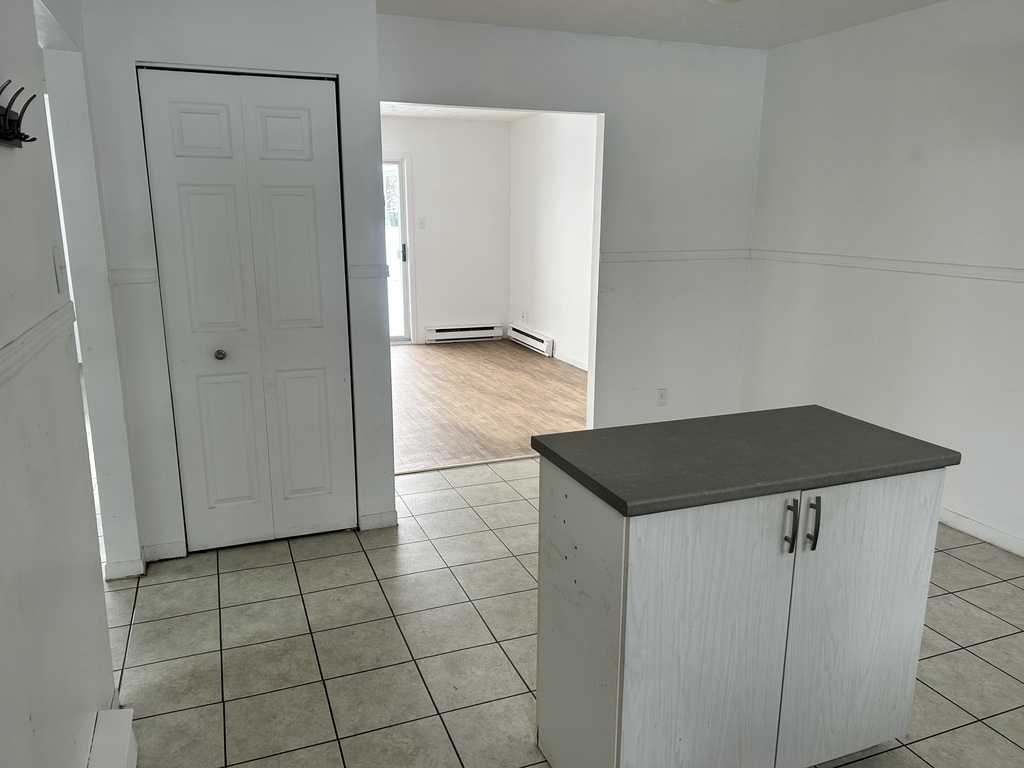 NOUVEAUTÉ | BEAU 4 1/2| FLEURIMONT | 3216374