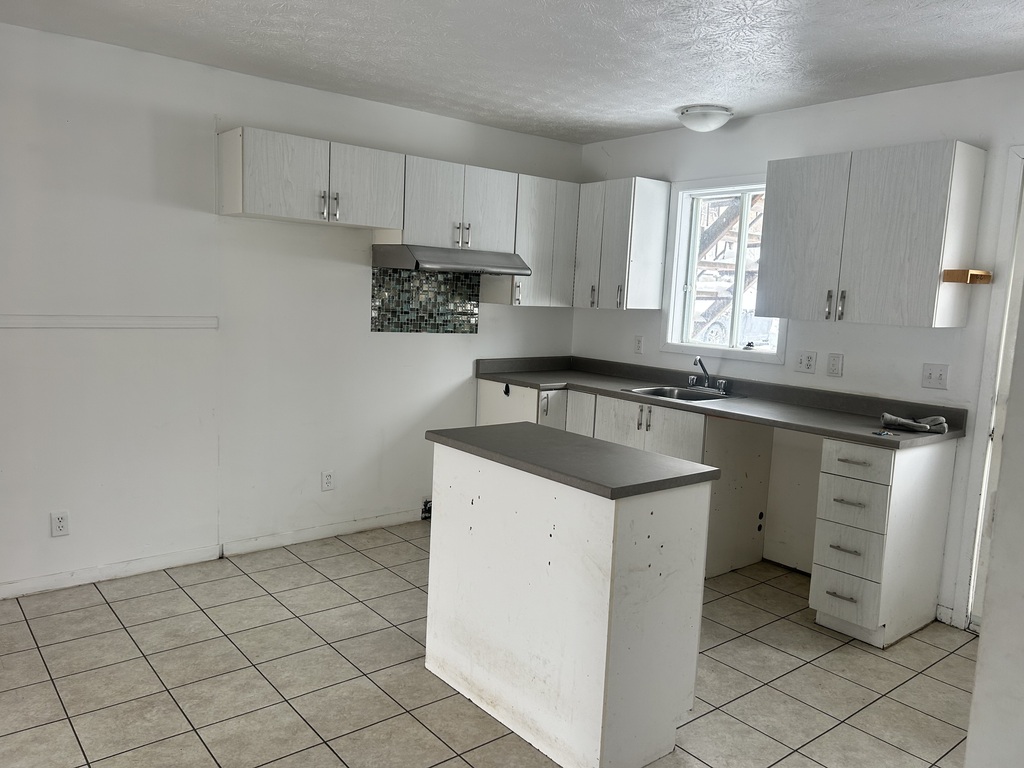 NOUVEAUTÉ | BEAU 4 1/2| FLEURIMONT | 3216374