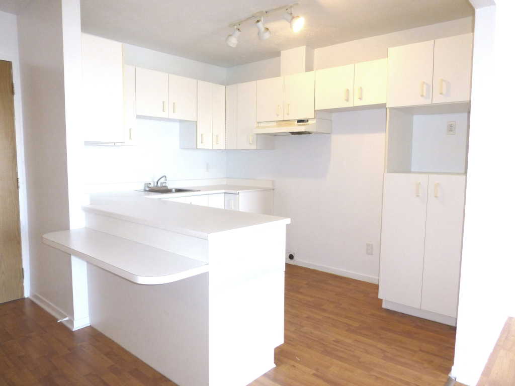 BEAU 4½|CHIENS ACCEPTÉS|TOUT INCLUS | 3216375