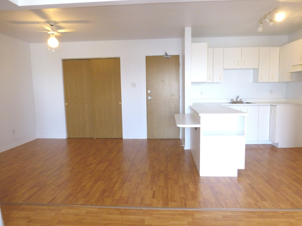 BEAU 4½|CHIENS ACCEPTÉS|TOUT INCLUS | 3216375