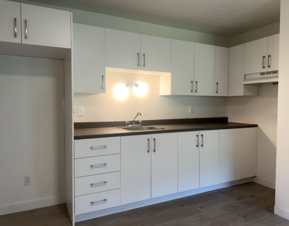 BEAU 3 ½| MONT-BELLEVUE|INTERNET | 3216470