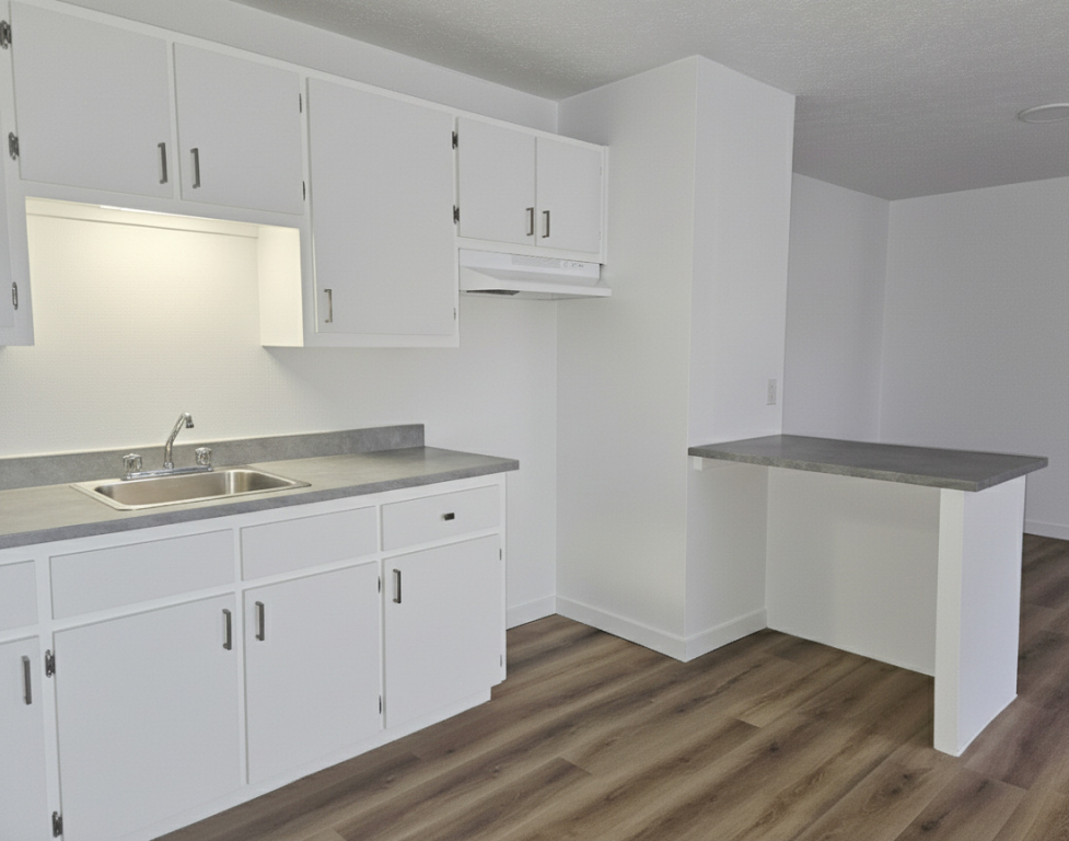 4½|RÉNOVÉ|CHAUFFAGE + EAU CHAUDE | 3216485