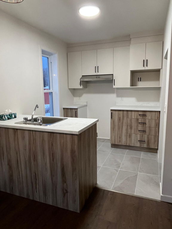 Sutton 4 1/2 Rénové 1 Mois Gratuit | 3216491