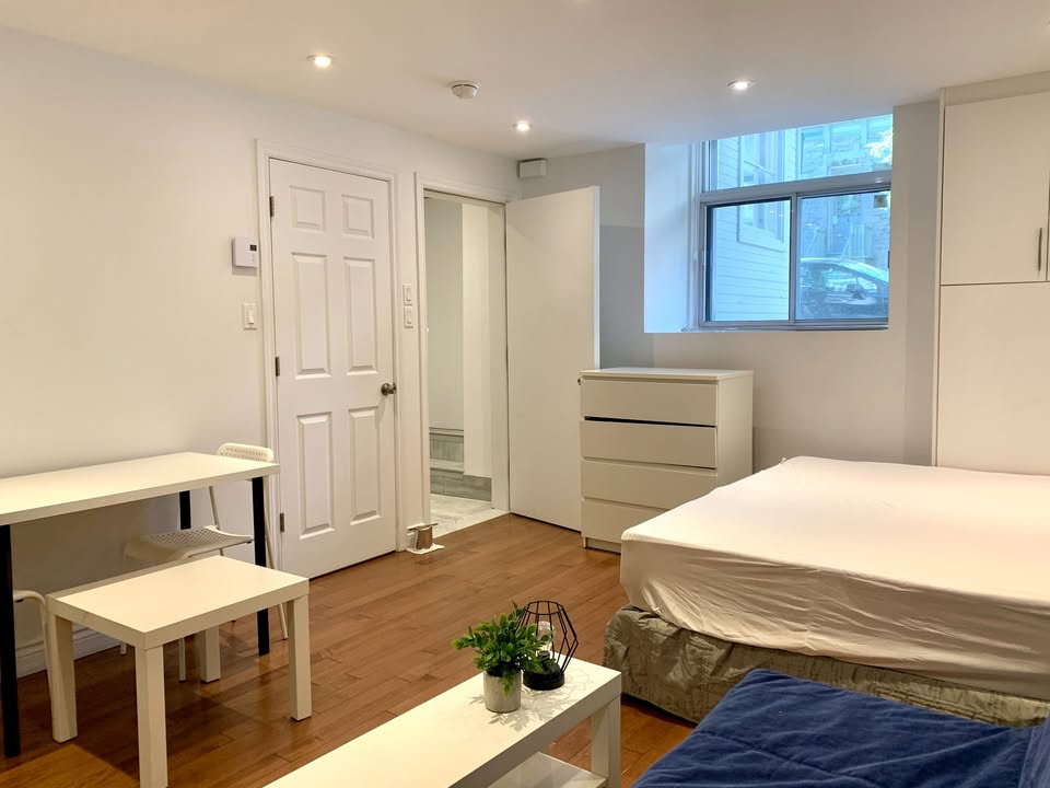 Downtown Small Furnished Studio For Rent | 3216505