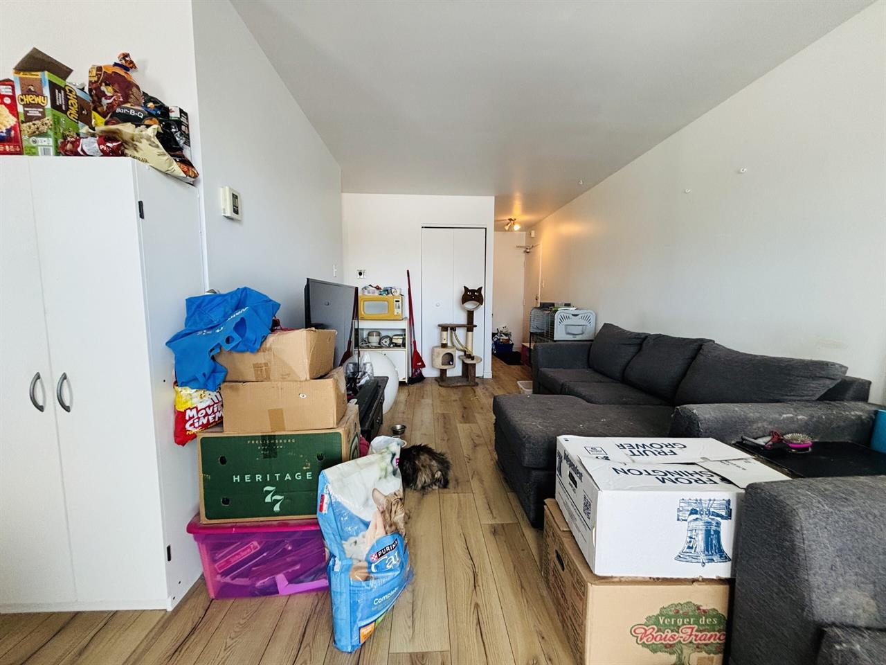 Hypolite Bernier Appartement 4 ½ à Louer Lévis Juillet 2026 | 3216559