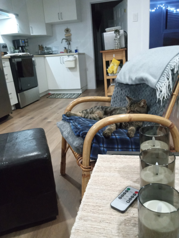 Sous Sol D’un Semi Détaché | 3216711