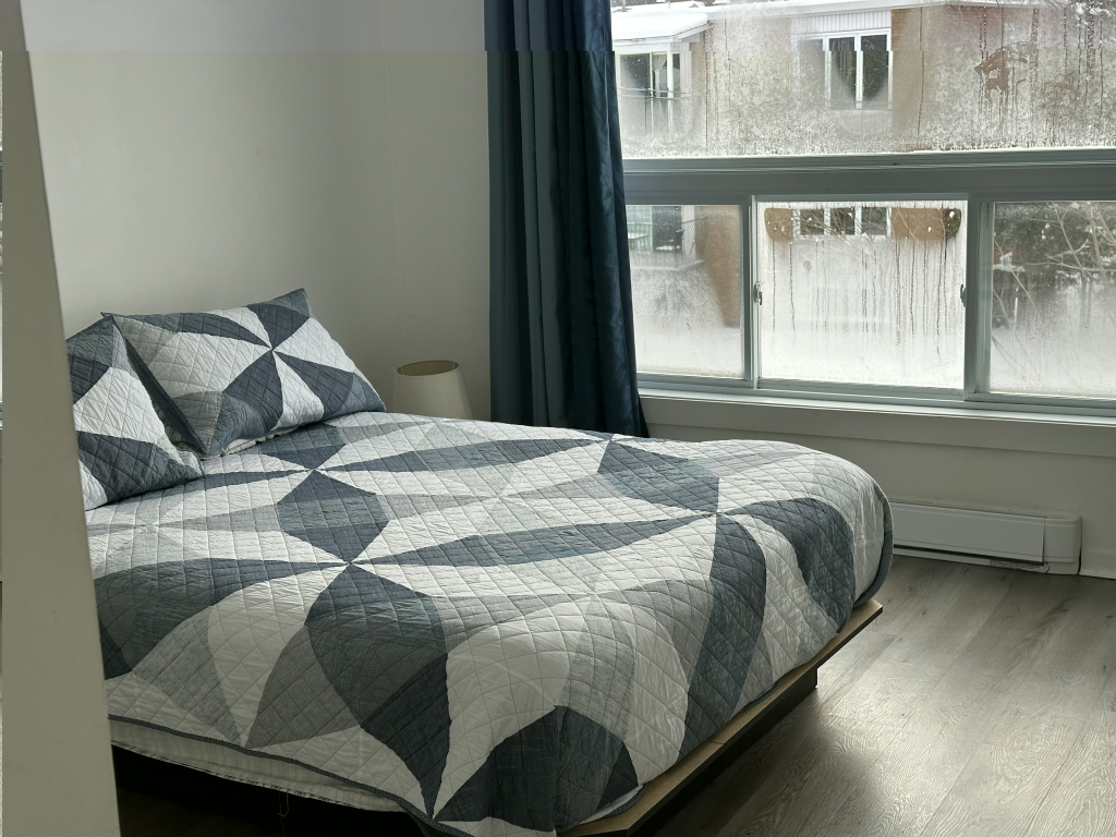 Bel Appartement 4-1/2 Semi-meublé | 3216741