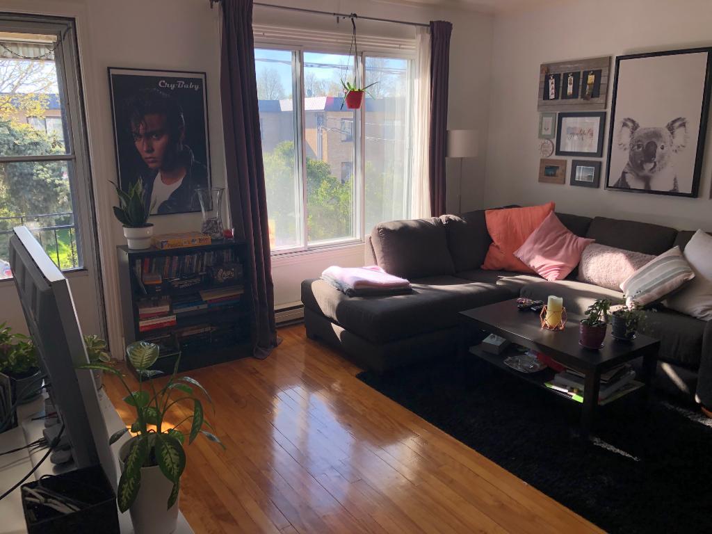 3 1/2 à louer Tétreauville (mercier-est) | 3216852