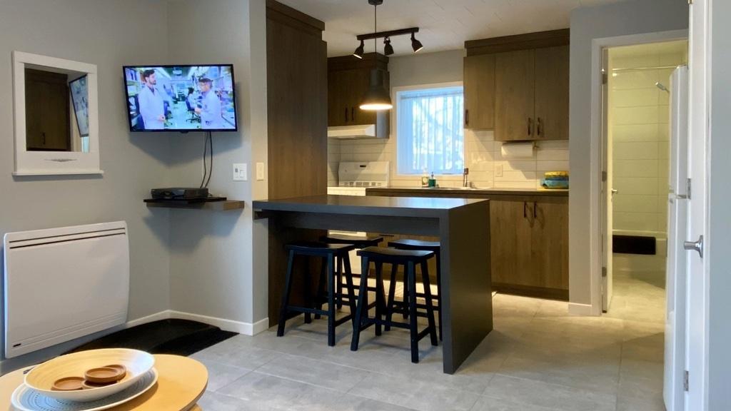 Appartement 3 1/2 | 3220338