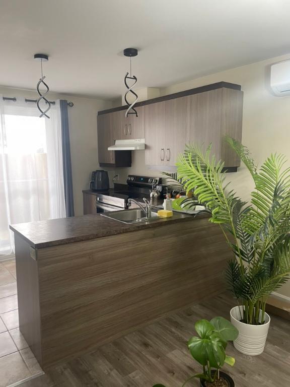 Magnifique 4 1/2 Repentigny secteur Valmont | 3216892