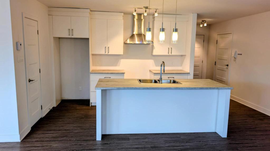 4 et demi spacieux avec air climatisé et garage intérieur | 3216989