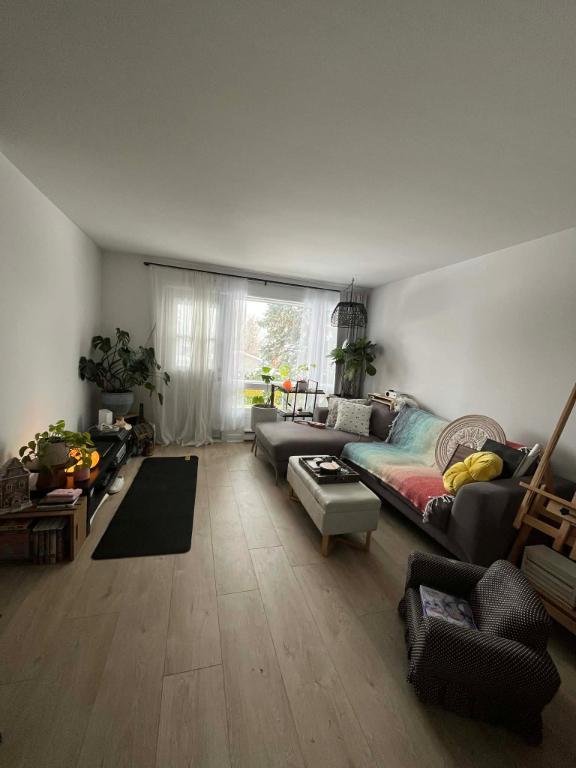 5 1/2 - Beloeil. Milieu paisible, non-fumeur. | 3216995