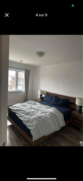 appartement | 3217005