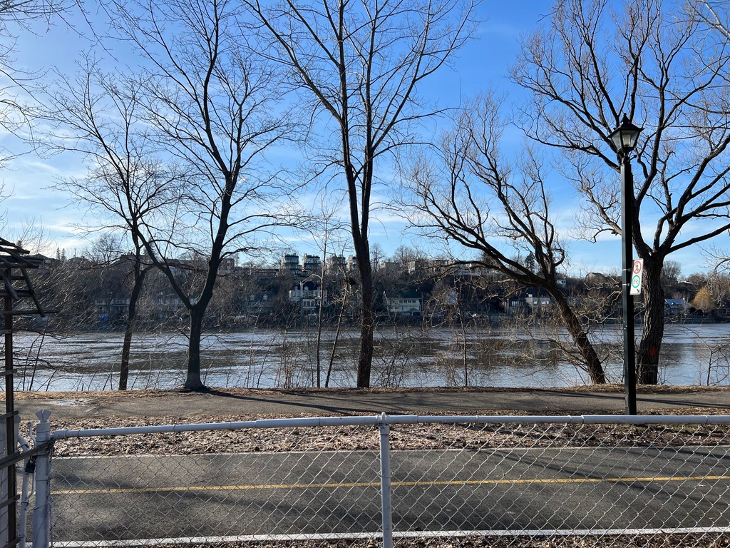 Grand 3 Et Demi Bord De L'eau | 3217194