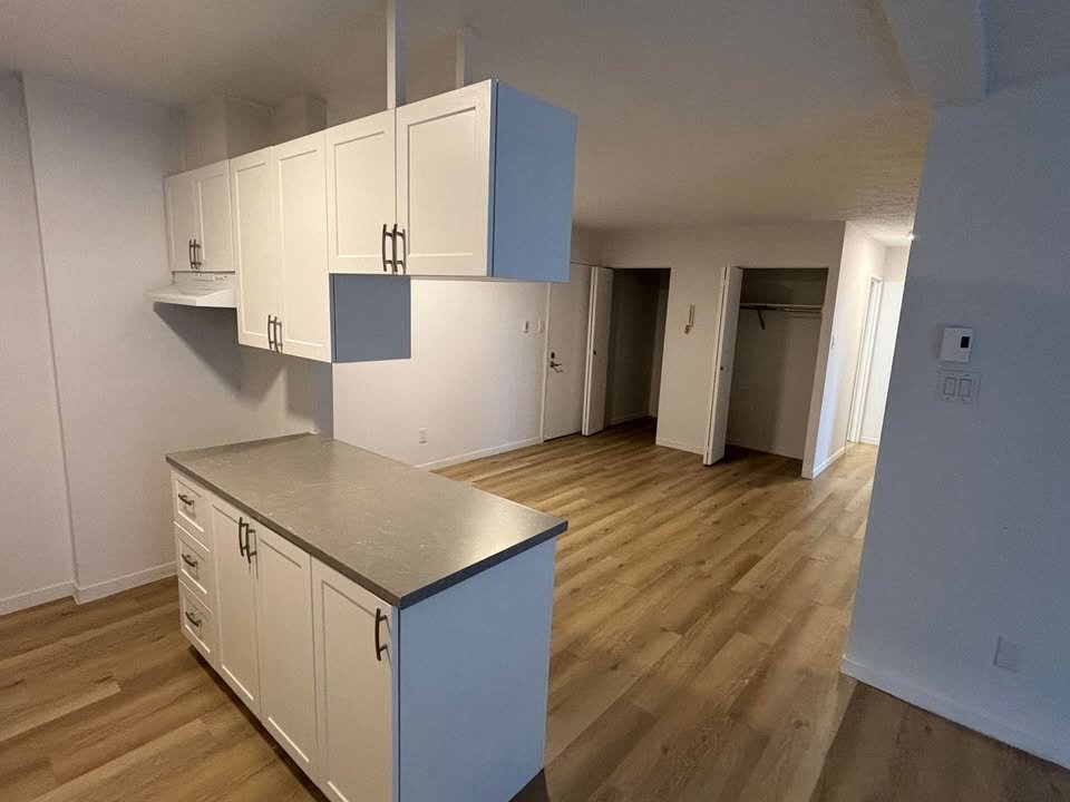 BEAU 4½ |MONTE-CHARGE|1 MOIS GRATUIT | 3217241