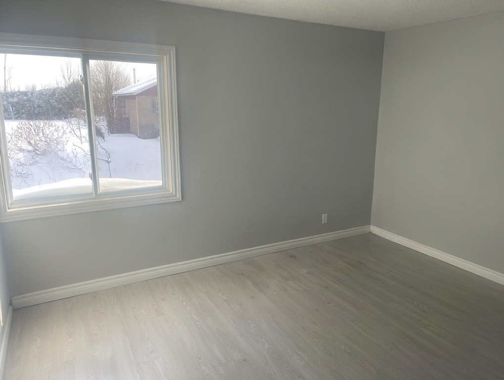 Cessation De Bail Urgent Initiative | 3217285