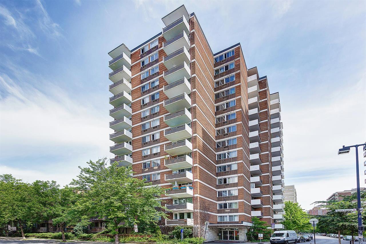 1 Bedroom - 3505 Sainte-Famille,, Montréal | 3217369