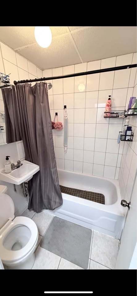 Plateau/Rosemont - 2 1/2 à Louer | 3217388