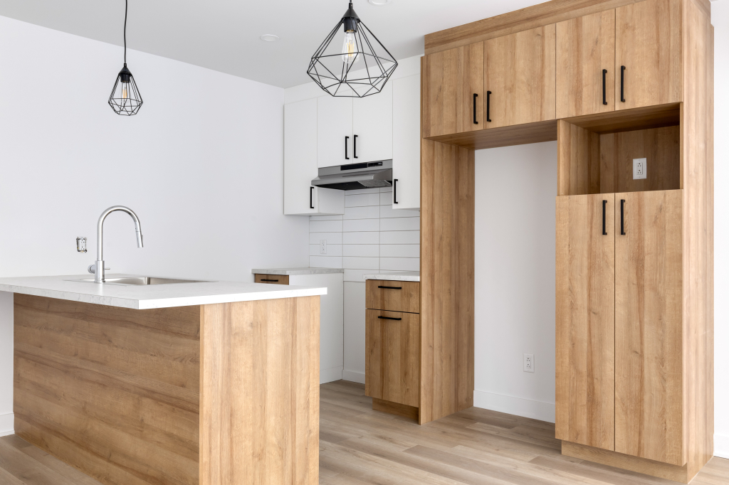 Nouveau Projet! 3 1/2 à Louer Neuf! | 3217442