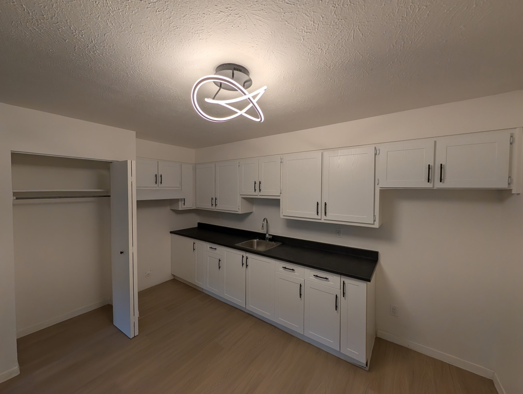 5 ½| 2 MOIS GRAUITS|ENTIÈREMENT RÉNOVÉ | 3217477