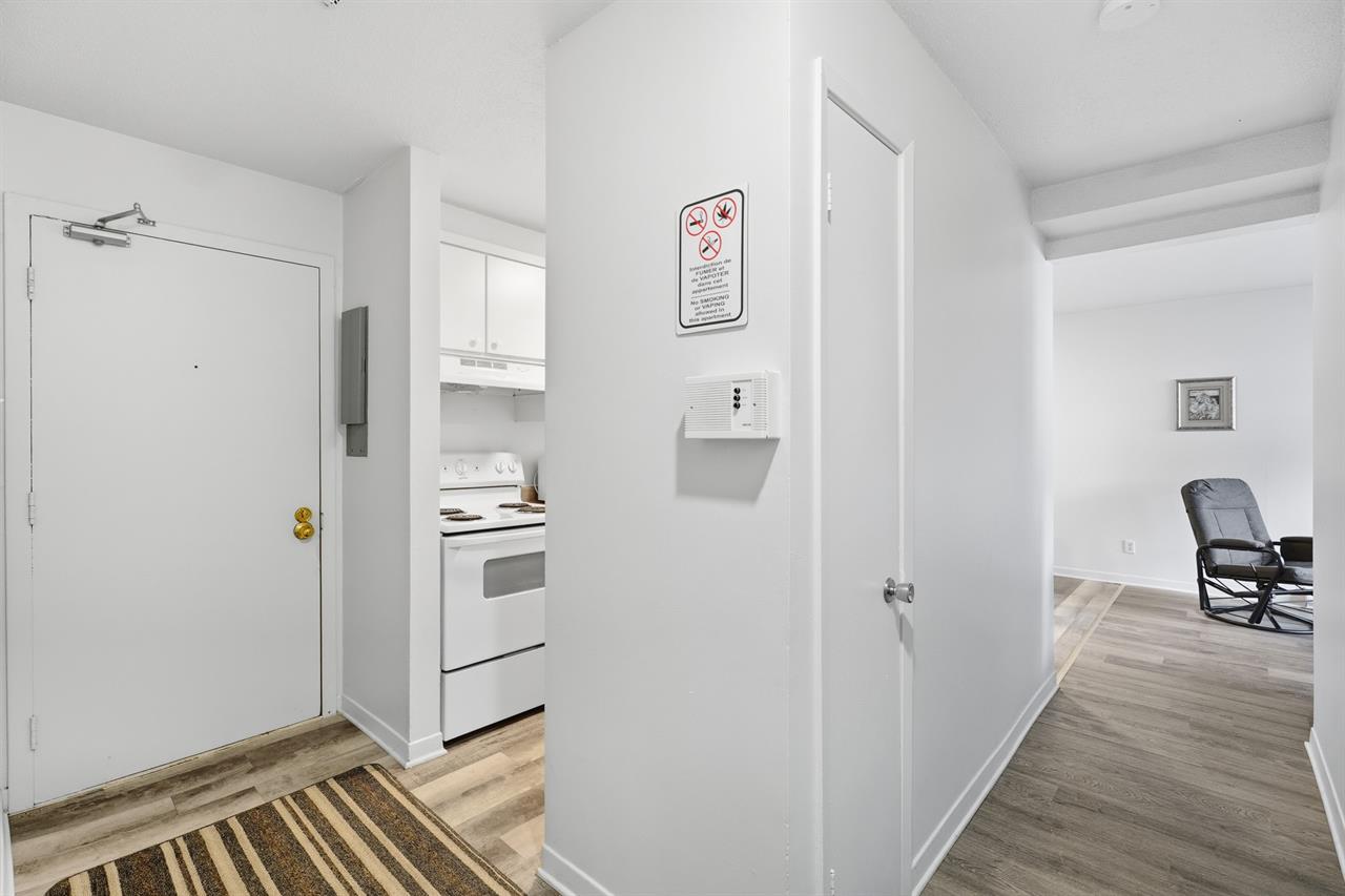 26 Rue D'Orléans (Gatineau) Magnifique 2 Chambres (chauffé/éclairé) | 3217486