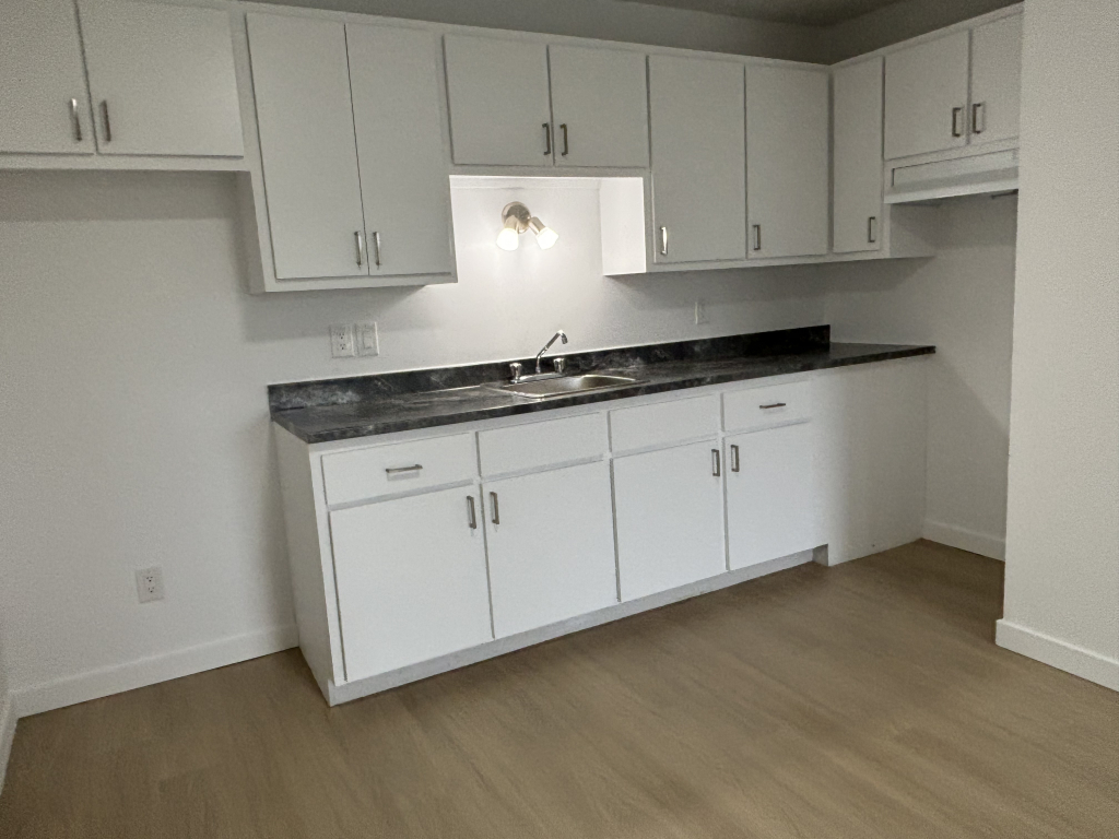 4½ RÉNOVÉ |INTERNET-CHAUFFAGE-EAU CHAUDE | 3217494