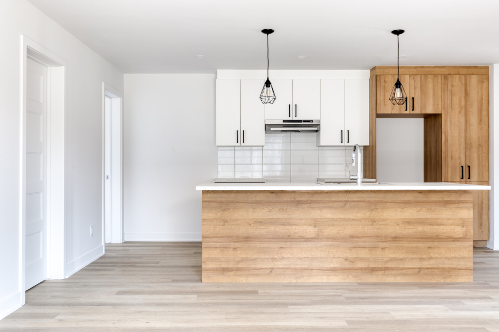 3 ½, 4 ½ & 5 ½ NEUFS À SAINT-JACQUES | 3217497