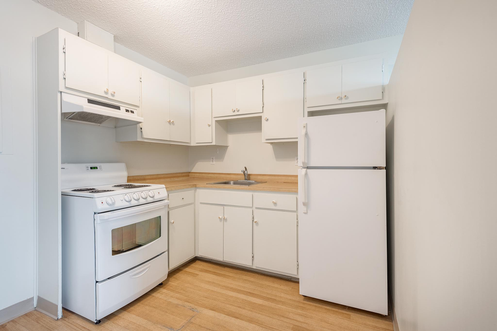 Bright & Spacious 2 ½ | 3217528