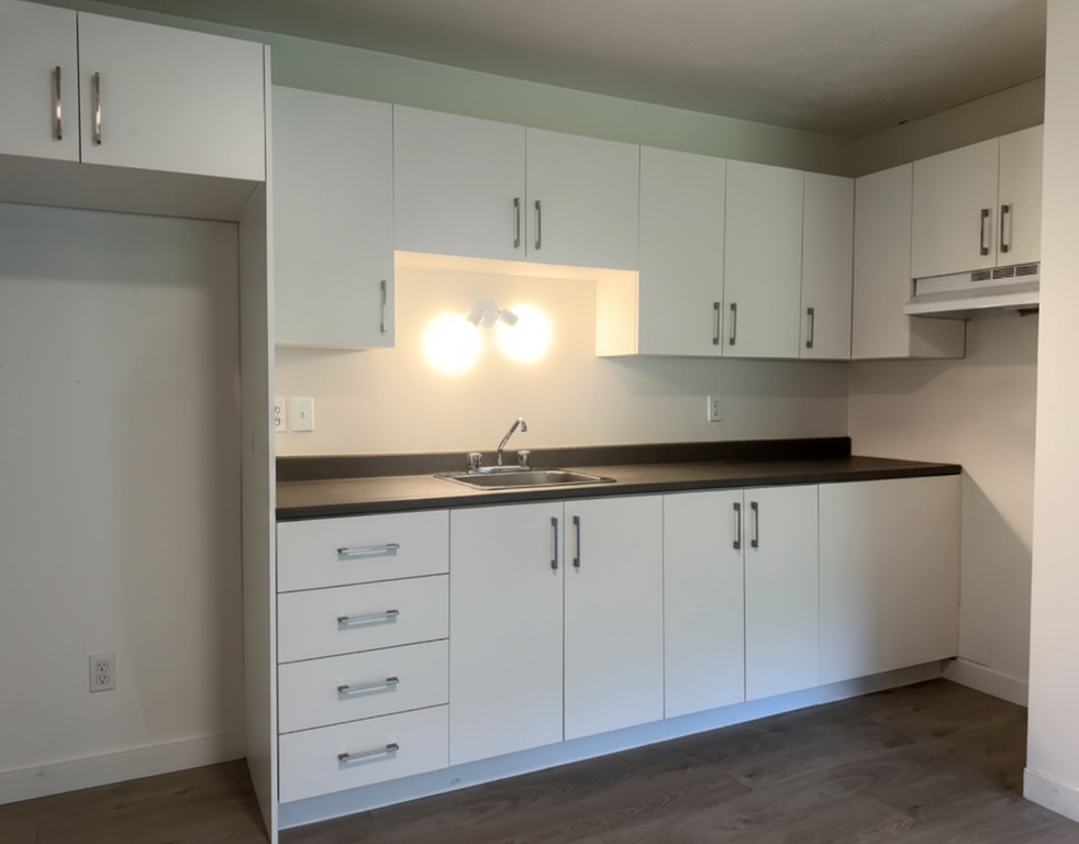 BEAU 3 ½|INTERNET-CHAUFFAGE-EAU CHAUDE | 3217602