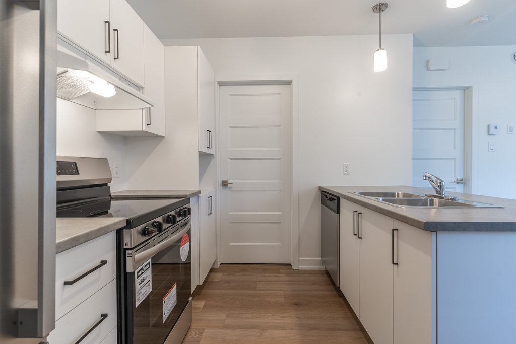 Grand 1 Chambre Lumineux à Louer | 3217617