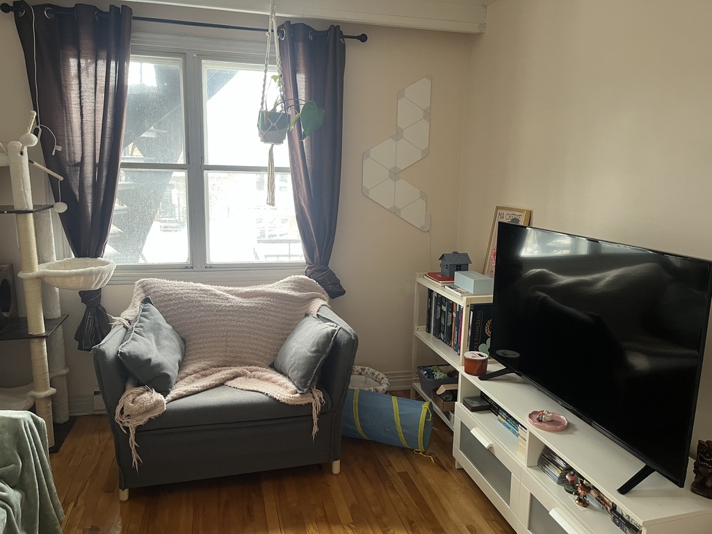 Grand, Propre 3 1/2 RDC | 3220463