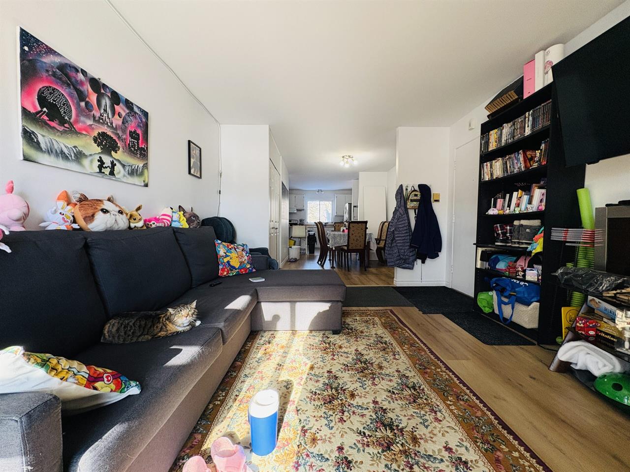 Le Confluent Appartements Appartement 5 ½ à Louer Lévis Juillet 2026 | 3220576