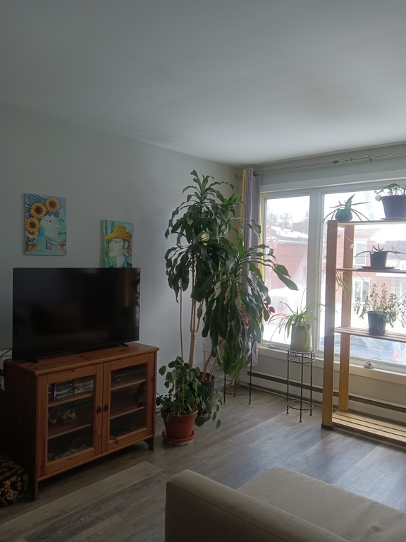 Lumineux Et Spacieux 4 1/2 , 01 Mai. | 3220600