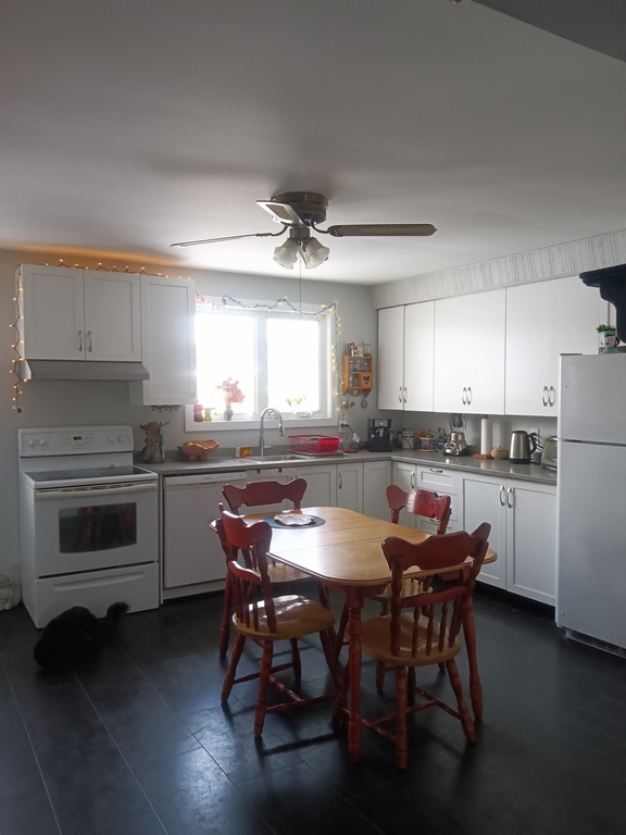 Lumineux Et Spacieux 4 1/2 , 01 Mai. | 3220600