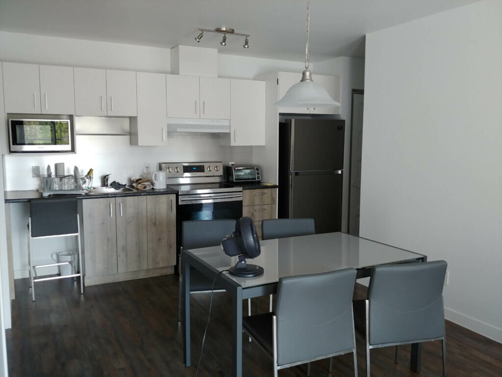 203-1497 Rue Du Conseil | 3220637