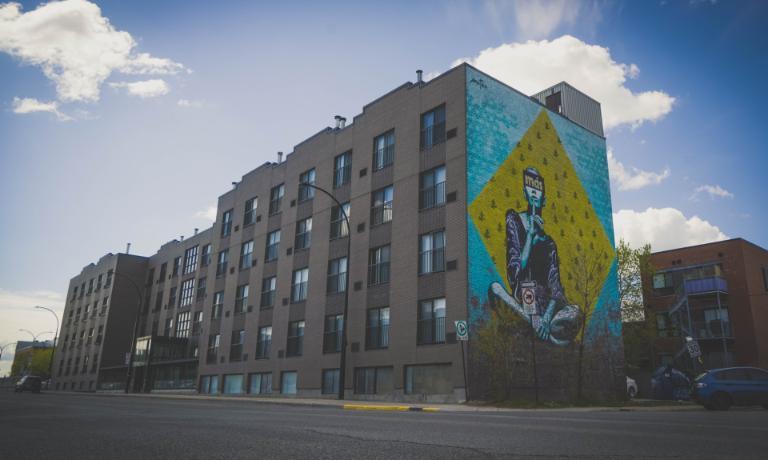 1 1/2 - Montréal (La Petite-Patrie) - 950 $/mois | 3220743