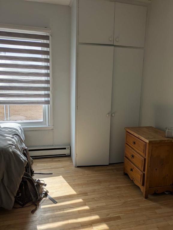 Logement ensoleillé ! 3 et demi à louer pour personne tranquille | 3220757