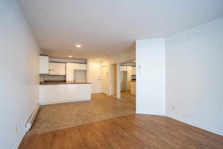 1 CH - 1 SDB - Saint-Charles-Borromée - $1,145 /mo | 3220779