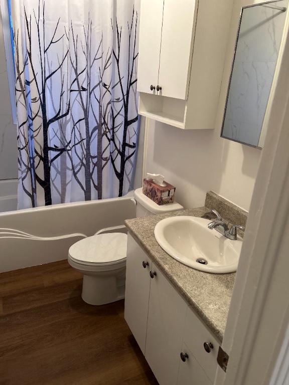 Logement à louer 4 1/2 Drummondville, très propre bien situé, non fumeur et sans animaux! | 3220784