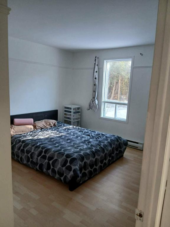 4 1/2 au rez-de-chaussée à louer à Charny | 3220786