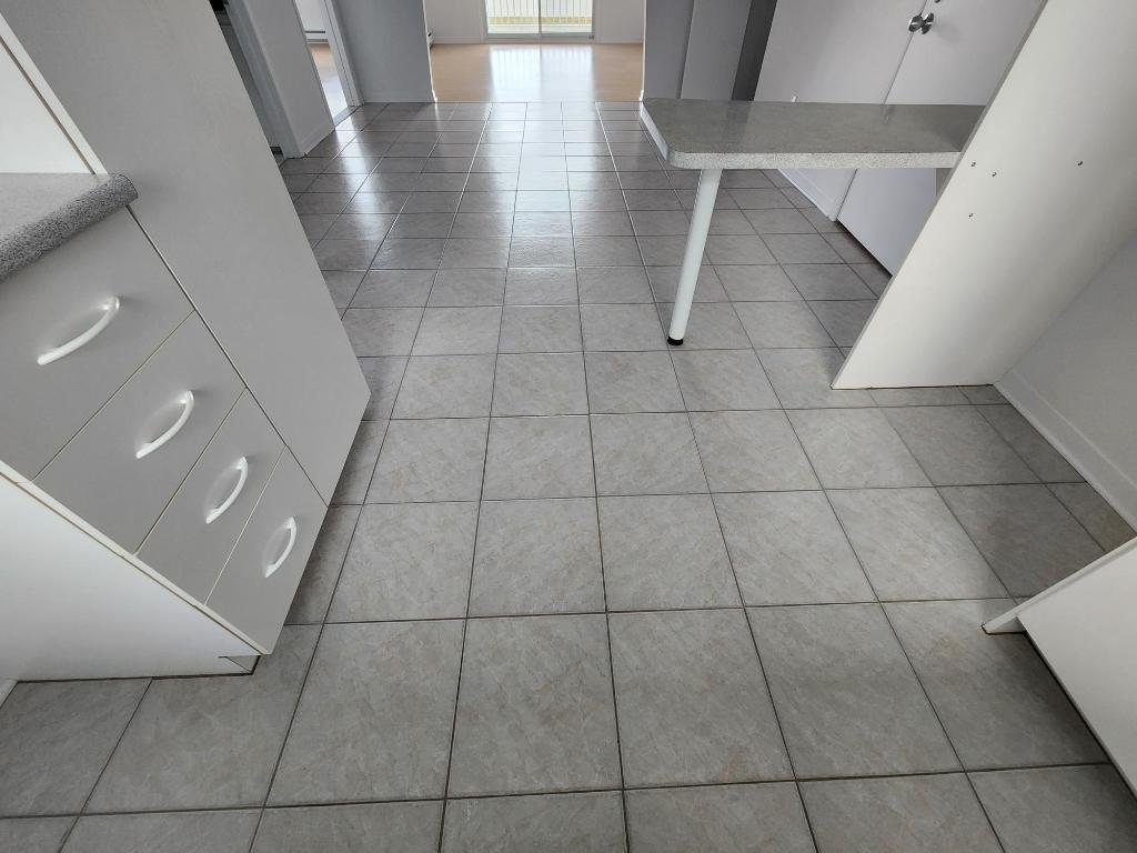 4 1/2 BOUL. CASAVANT O. 1 er JUILLET | 3220867