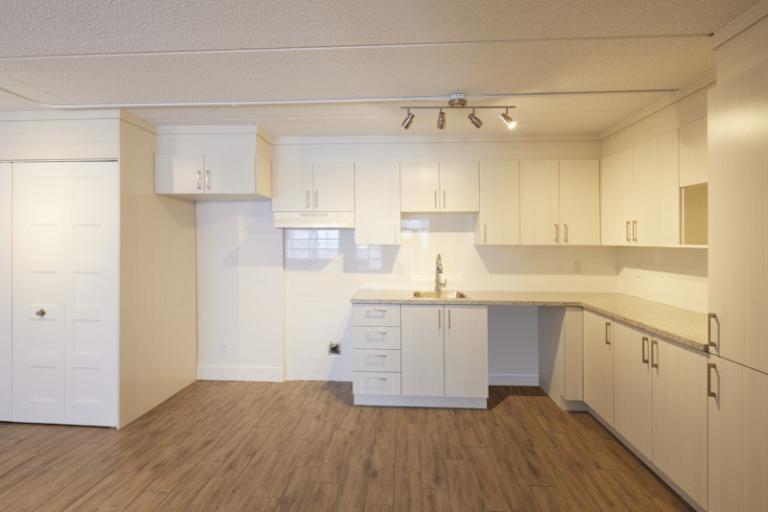 4 1/2 - Deux-Montagnes - 1 485 $/mois | 3220943