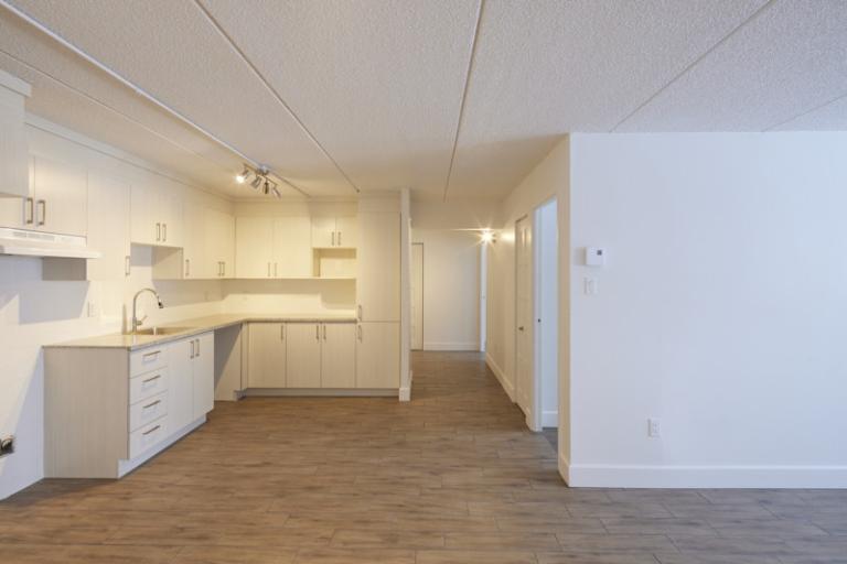 4 1/2 - Deux-Montagnes - 1 485 $/mois | 3220943