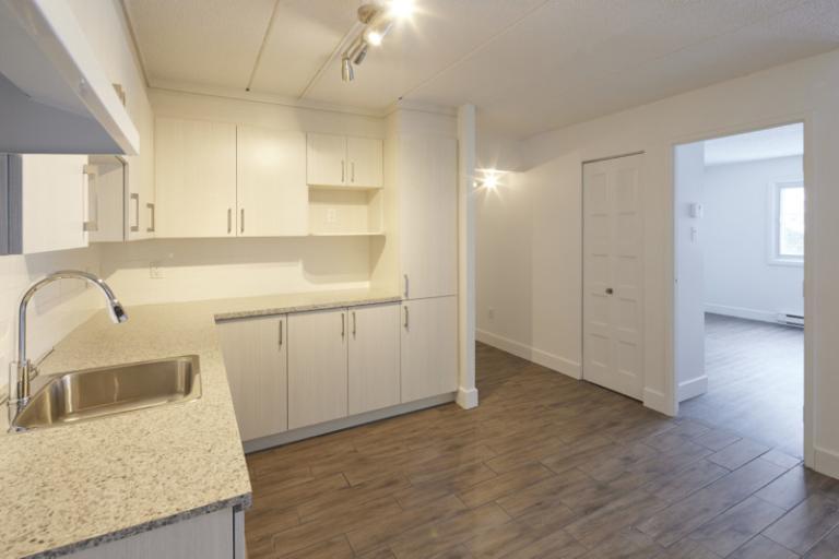 4 1/2 - Deux-Montagnes - 1 485 $/mois | 3220943