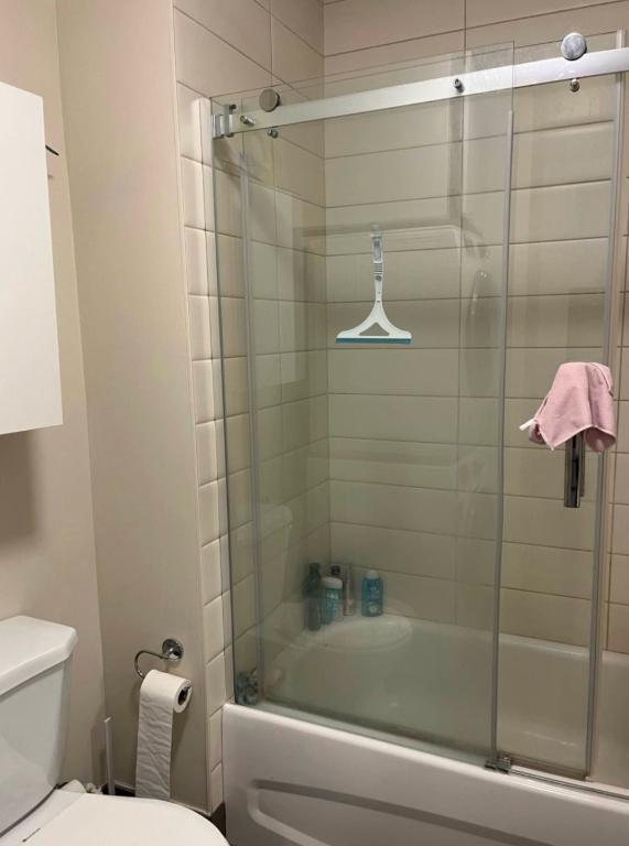 3½ lumineux - 1er juillet- 6697 Christophe-Colomb – 650 pi² | 3220944