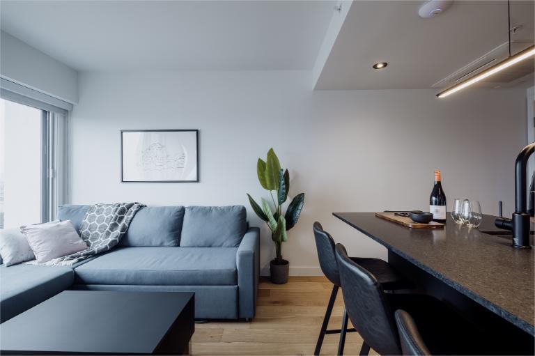 3 ½ entièrement meublé à louer Saint-Jean-Baptiste septembre 2026 | 3235787